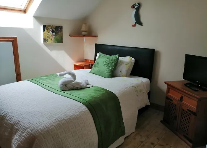 Puffin Rooms