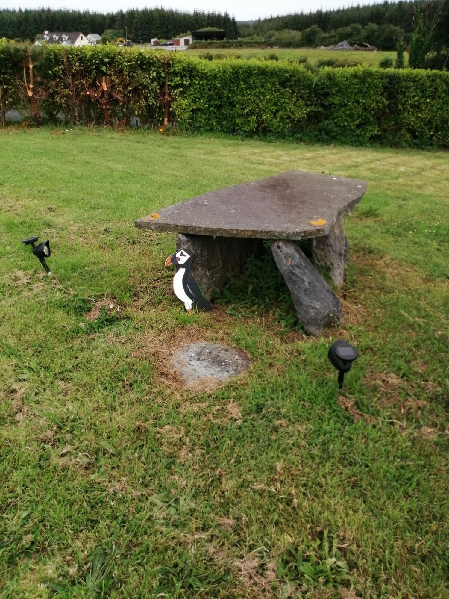 Puffin