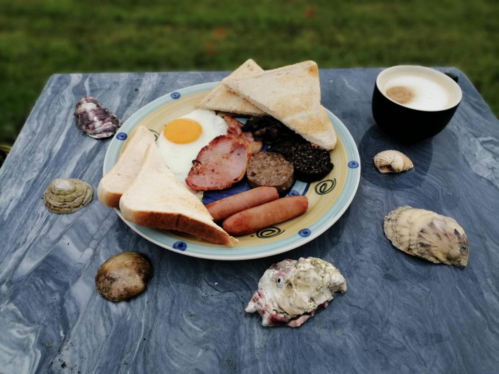 Puffin Bed and breakfast Lisdoonvarna